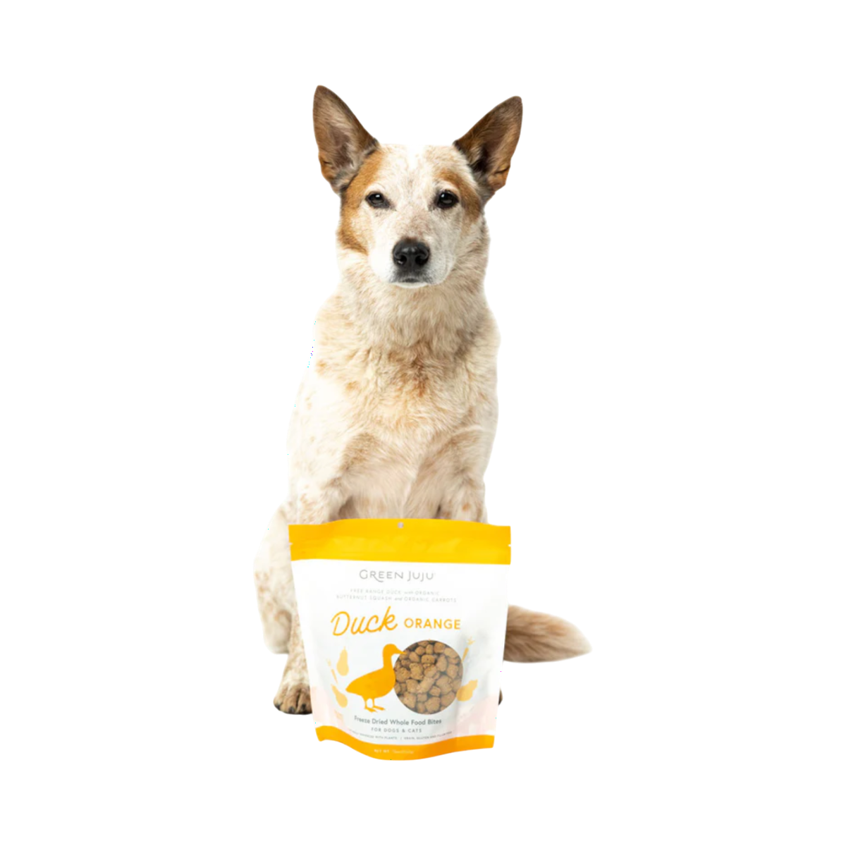 Dog Dish Green Juju Duck Orange freeze-dried dog treats in a pouch with a sitting Australian Cattle Dog