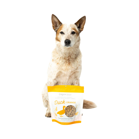 Dog Dish Green Juju Duck Orange freeze-dried dog treats in a pouch with a sitting Australian Cattle Dog