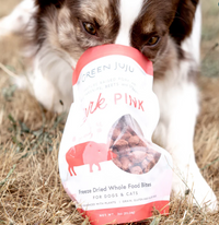 Dog Dish Green Juju Pork Pink Bites freeze-dried dog treats in a bag being sniffed by a brown and white dog.