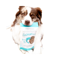 Dog Dish Green Juju Salmon Blue freeze-dried dog treats held in the mouth of a brown and white Australian Shepherd