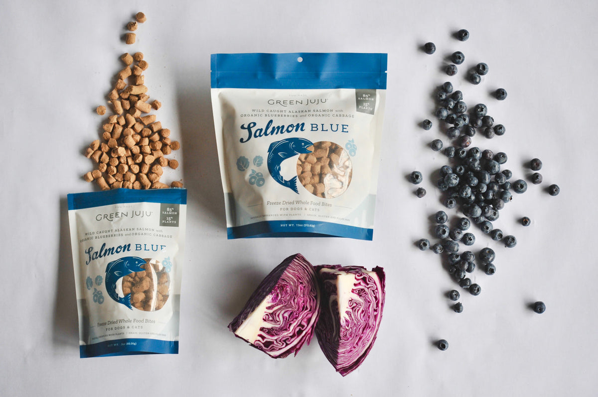 Dog Dish Green Juju Salmon Blue freeze-dried dog treats with fresh blueberries and red cabbage on a white background