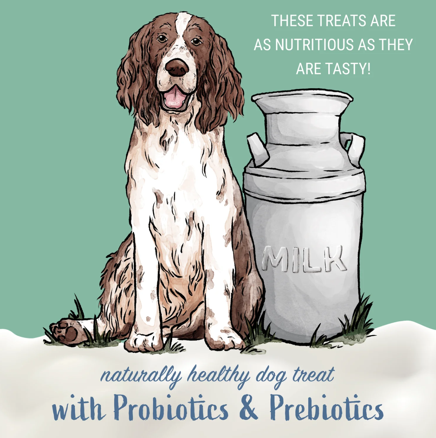 Dog Dish illustration of a brown and white spaniel sitting next to a milk can, representing probiotic dog treats.