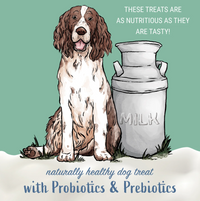Dog Dish illustration of a brown and white spaniel sitting next to a milk can, representing probiotic dog treats.