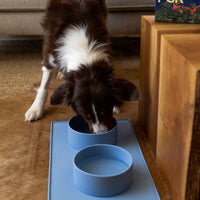 ADC Houndstone & Co. silicone dog bowl shown from a side angle highlighting its flexible, food-safe material.