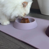 ADC Houndstone & Co. silicone cat and teacup dog bowl shown from an alternate product angle.