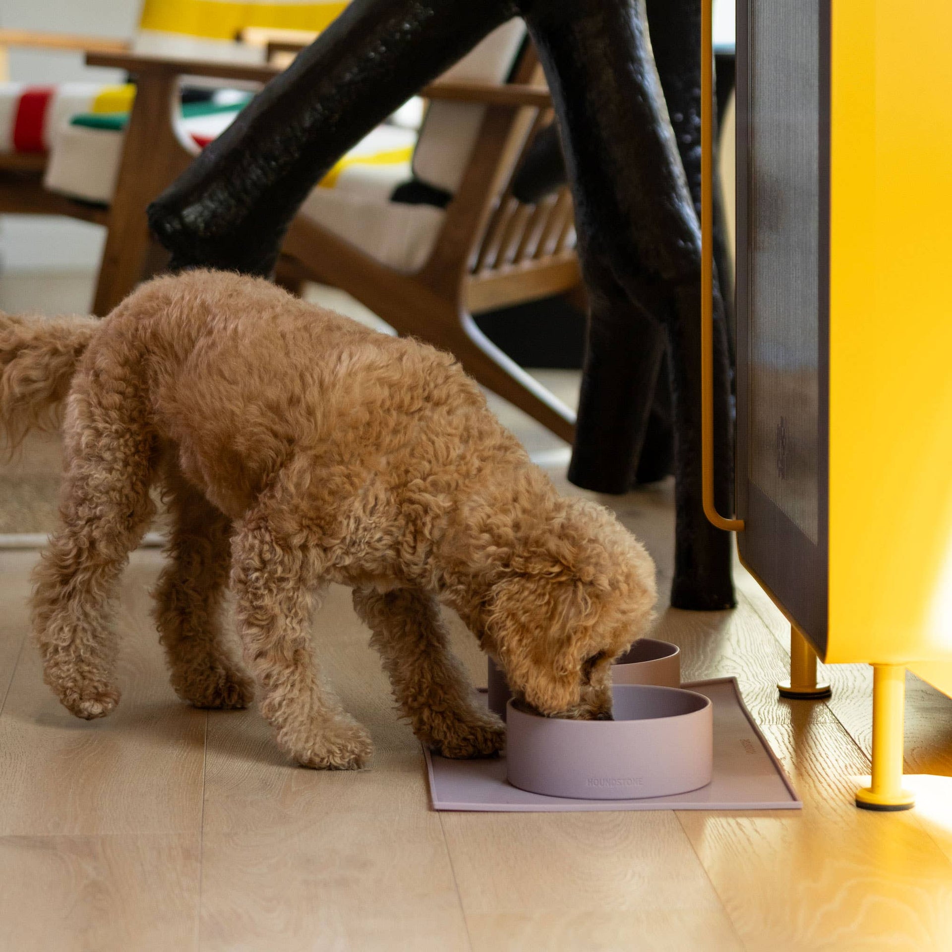 ADC Houndstone & Co. silicone dog bowl shown from a close angle highlighting its flexible, food-safe material.