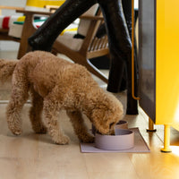 ADC Houndstone & Co. silicone dog bowl shown from a close angle highlighting its flexible, food-safe material.