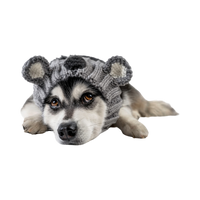 Dog Dish Koala Dog Snood made of grey knit acrylic yarn worn by a husky, providing warmth and a playful costume look.
