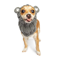 Dog Dish Koala Dog Snood worn by a small chihuahua with a grey knit design and cute koala ears on a white background