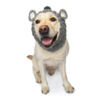 Dog Dish Koala Dog Snood worn by a yellow Labrador, featuring a grey knit design with cute koala ears.