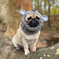 Dog Dish Koala Dog Snood worn by a pug, featuring grey knit acrylic yarn with cute koala ears in an outdoor setting.