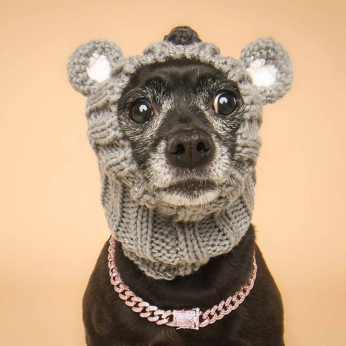 Dog Dish Koala Dog Snood in grey knit acrylic worn by a small black dog with a pink chain collar