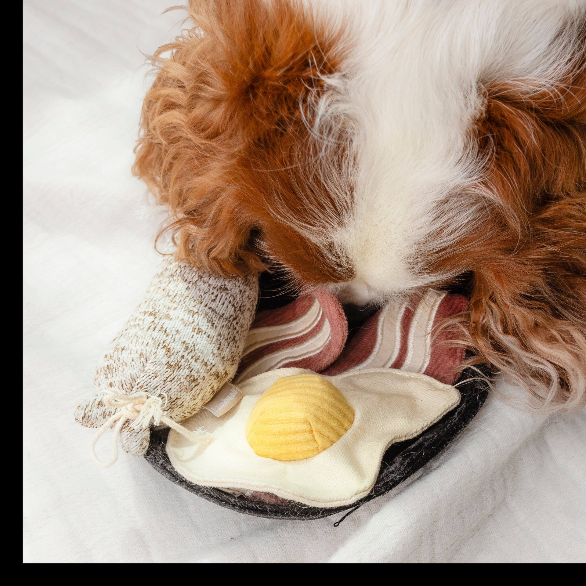 Dog Dish Lambwolf breakfast enrichment toy with egg, bacon, and sausage being sniffed by a brown and white dog.