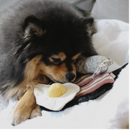 Dog Dish Lambwolf breakfast enrichment toy with egg and bacon pieces being sniffed by a fluffy black and tan dog