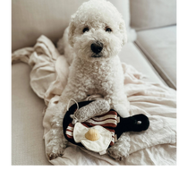 Dog Dish Lambwolf breakfast enrichment toy set with egg, bacon, and sausage on a pan, held by a white curly dog.