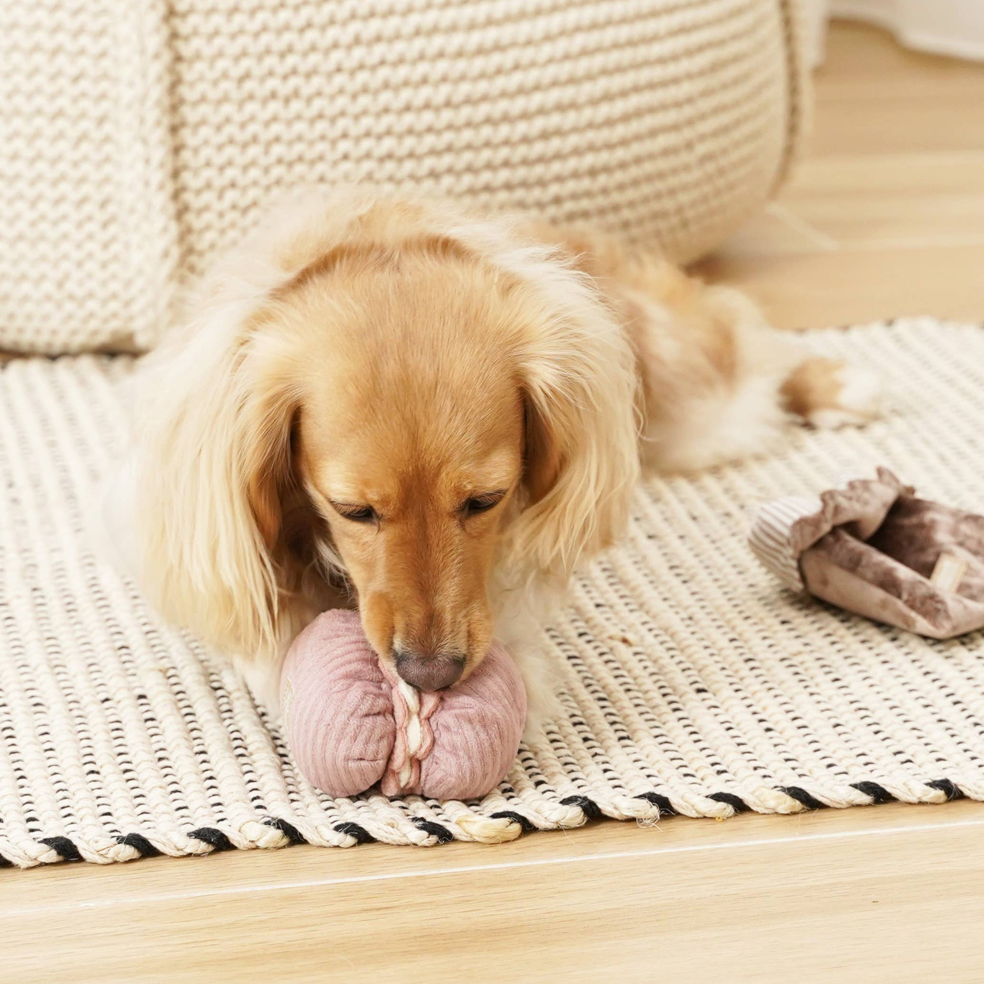 Dog Dish Lambwolf Cookie enrichment set with a long-haired dog playing with a pink macaroon puzzle toy on a rug