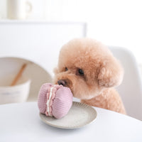 Dog Dish Lambwolf Collective macaroon enrichment toy being played with by a small apricot poodle on a white table.