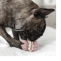 Dog Dish Lambwolf Cookie enrichment toy in pink macaroon shape being played with by a brindle French Bulldog