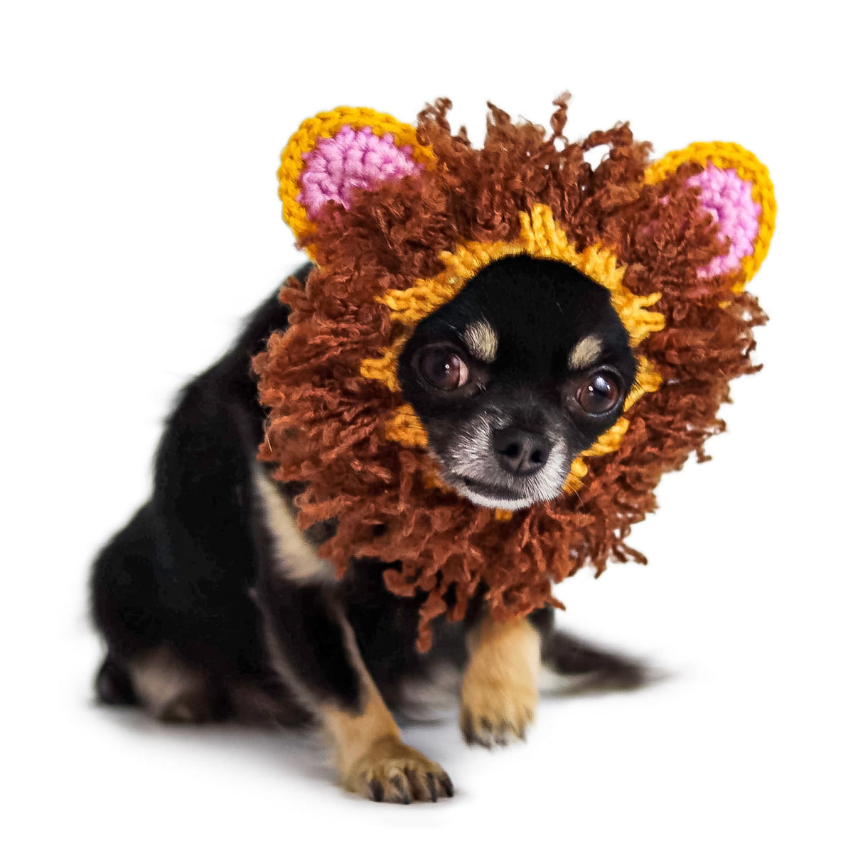 Dog Dish Lion Dog Snood featuring a hand-crocheted brown mane and pink-lined ears on a small black and tan chihuahua