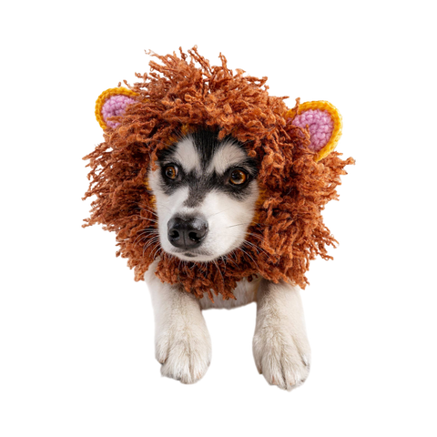 Dog Dish Lion Dog Snood featuring a hand-crocheted brown mane and pink-lined ears on a husky puppy