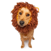 Dog Dish Lion Dog Snood featuring a hand-crocheted brown mane on a golden dog for winter warmth and style.