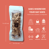 Dog Dish Max & Bella freeze-dried salmon treat pouch with icons showing portable storage options on a coral background