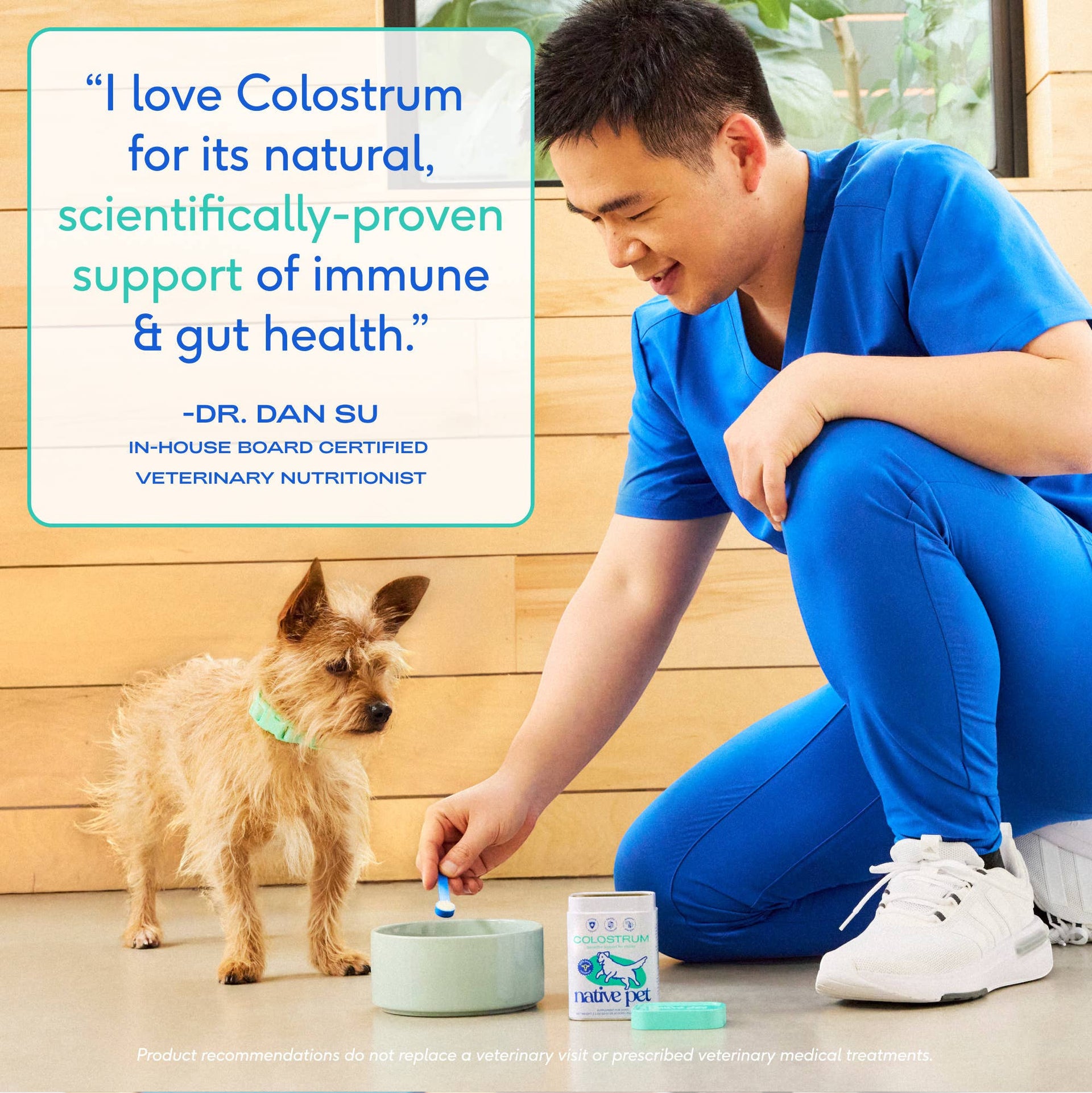 Dog Dish Native Pet Colostrum powder being added to a dog bowl by a veterinarian for a small dog