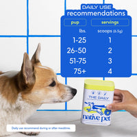 Dog Dish Native Pet The Daily powder supplement container with a feeding chart and a Corgi in the background.