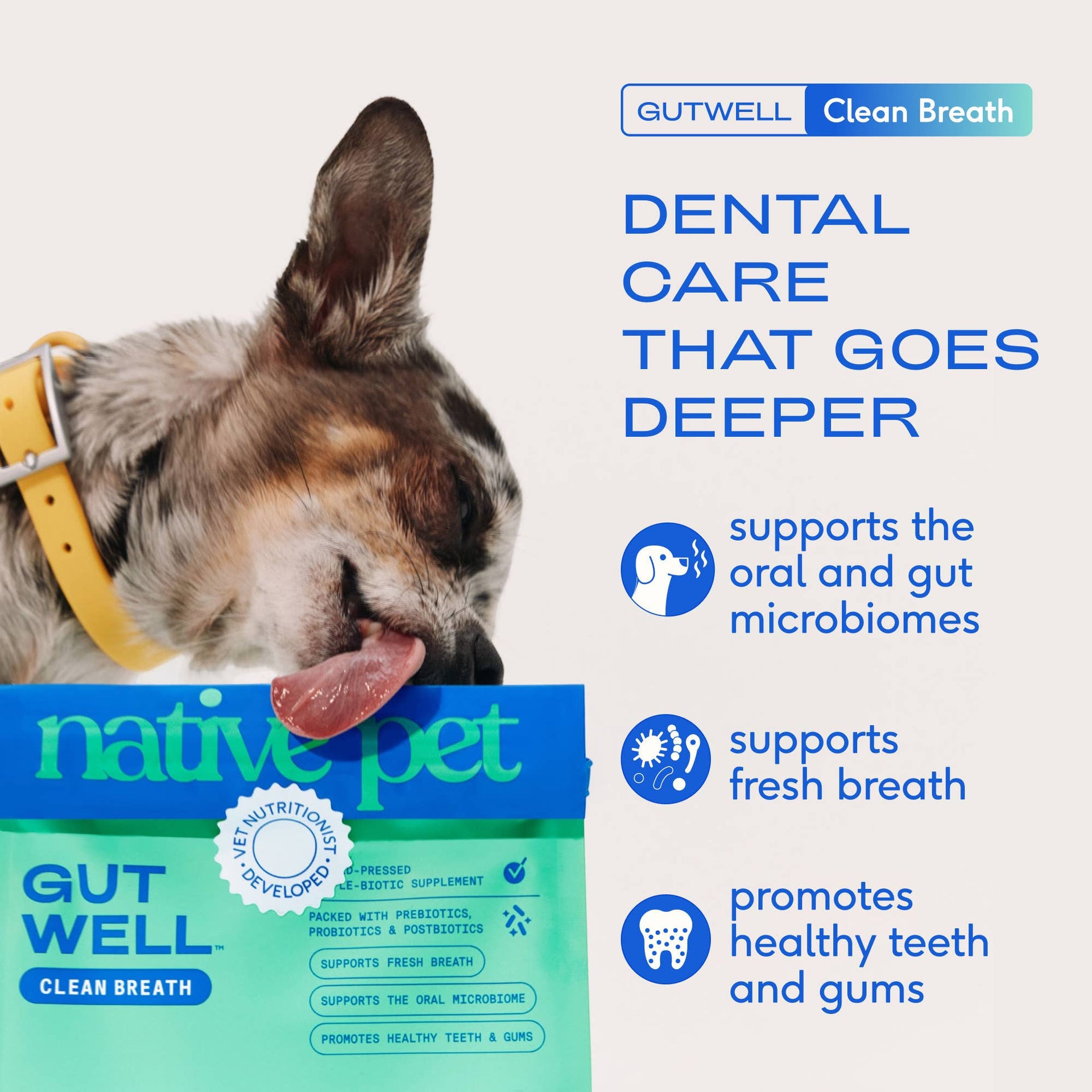 Dog Dish Native Pet GutWell dental powder supplement bag with a dog licking its nose to promote fresh breath and health.
