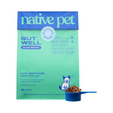 Dog Dish Native Pet GutWell dental care powder supplement pouch with blue scoop and kibble for dogs