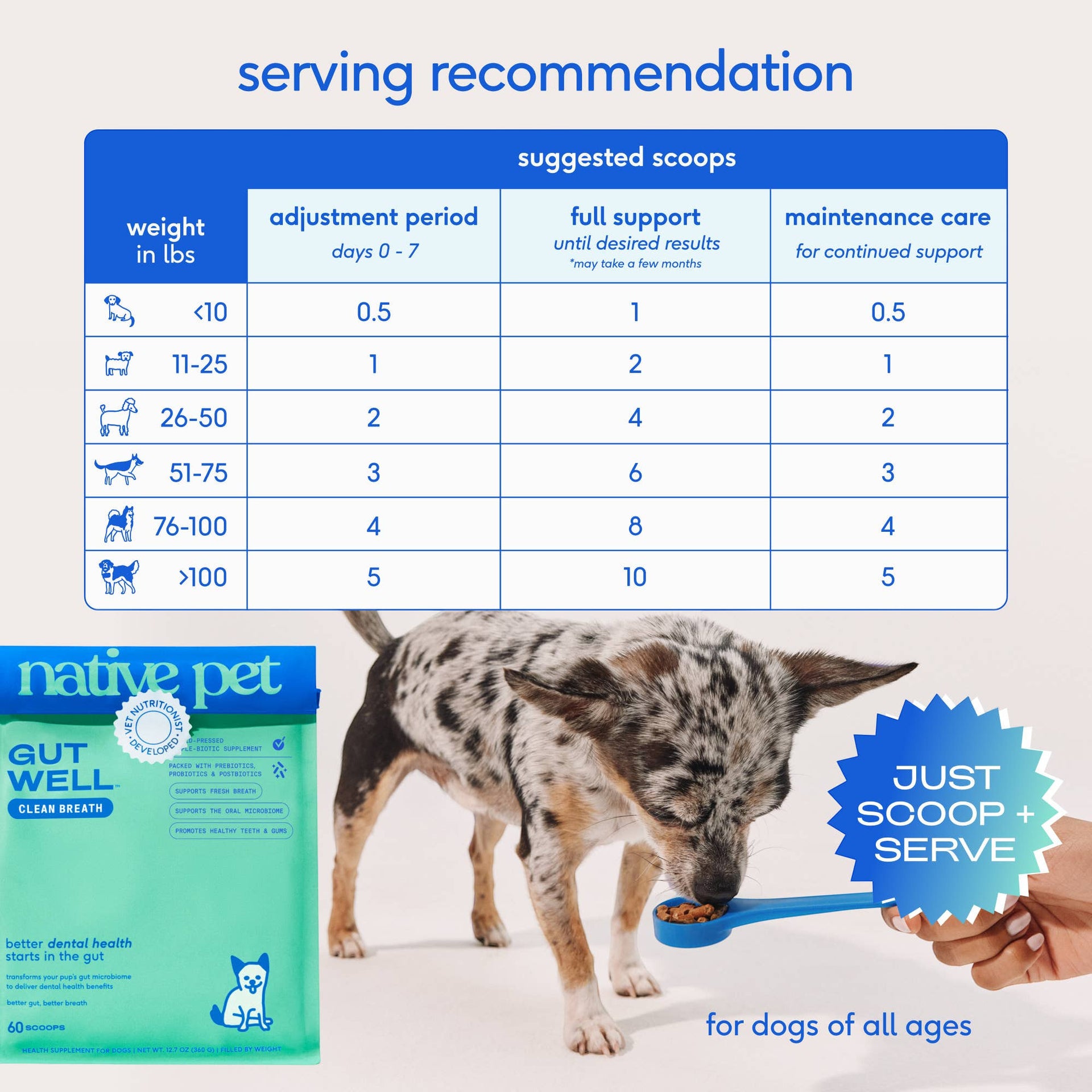 Dog Dish Native Pet GutWell dental powder supplement with a feeding chart for dogs of all sizes and ages.