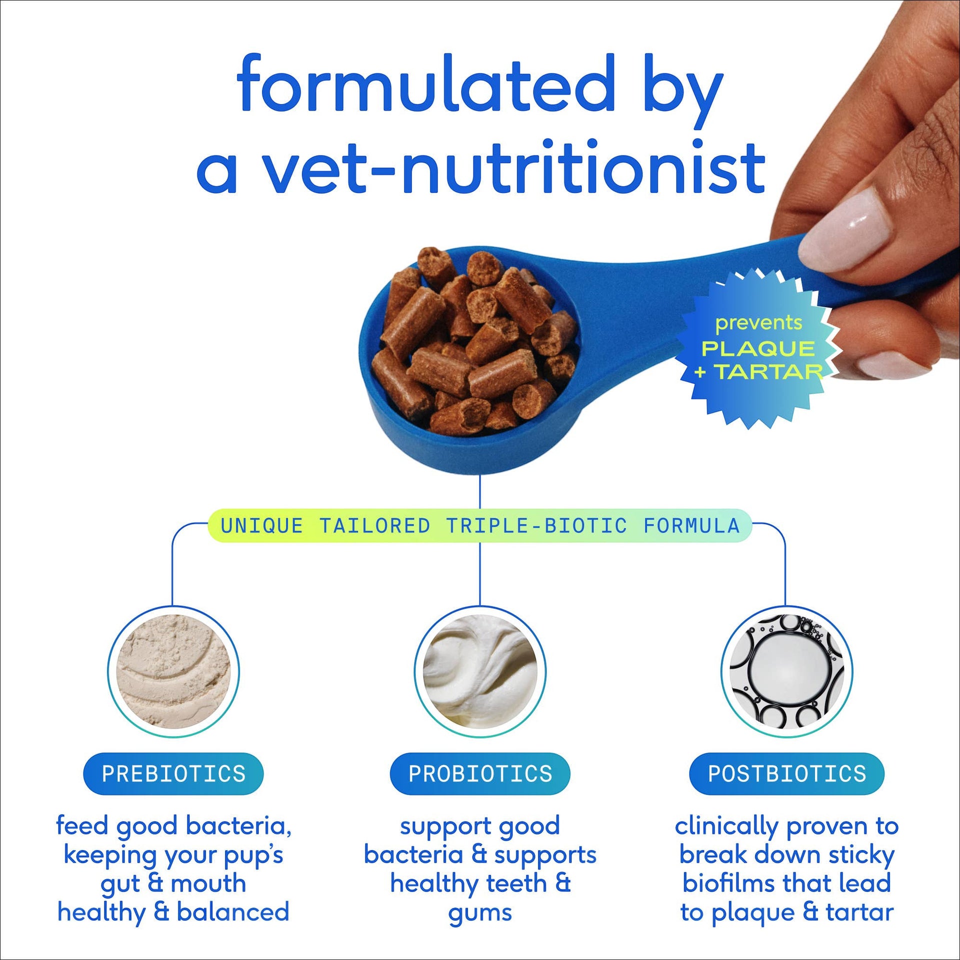 Dog Dish Native Pet GutWell dental supplement powder in a blue scoop showing prebiotics, probiotics, and postbiotics.