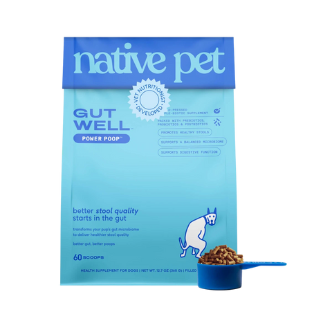 Dog Dish Native Pet GutWell digestive supplement pouch with a blue measuring scoop of kibble-like powder