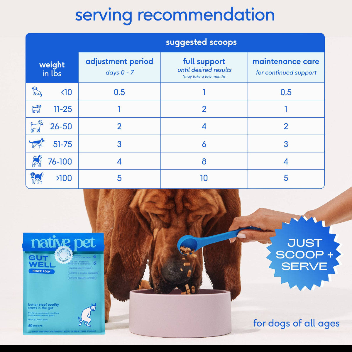 Dog Dish Native Pet GutWell digestive supplement packaging with a feeding chart and a dog eating from a bowl.