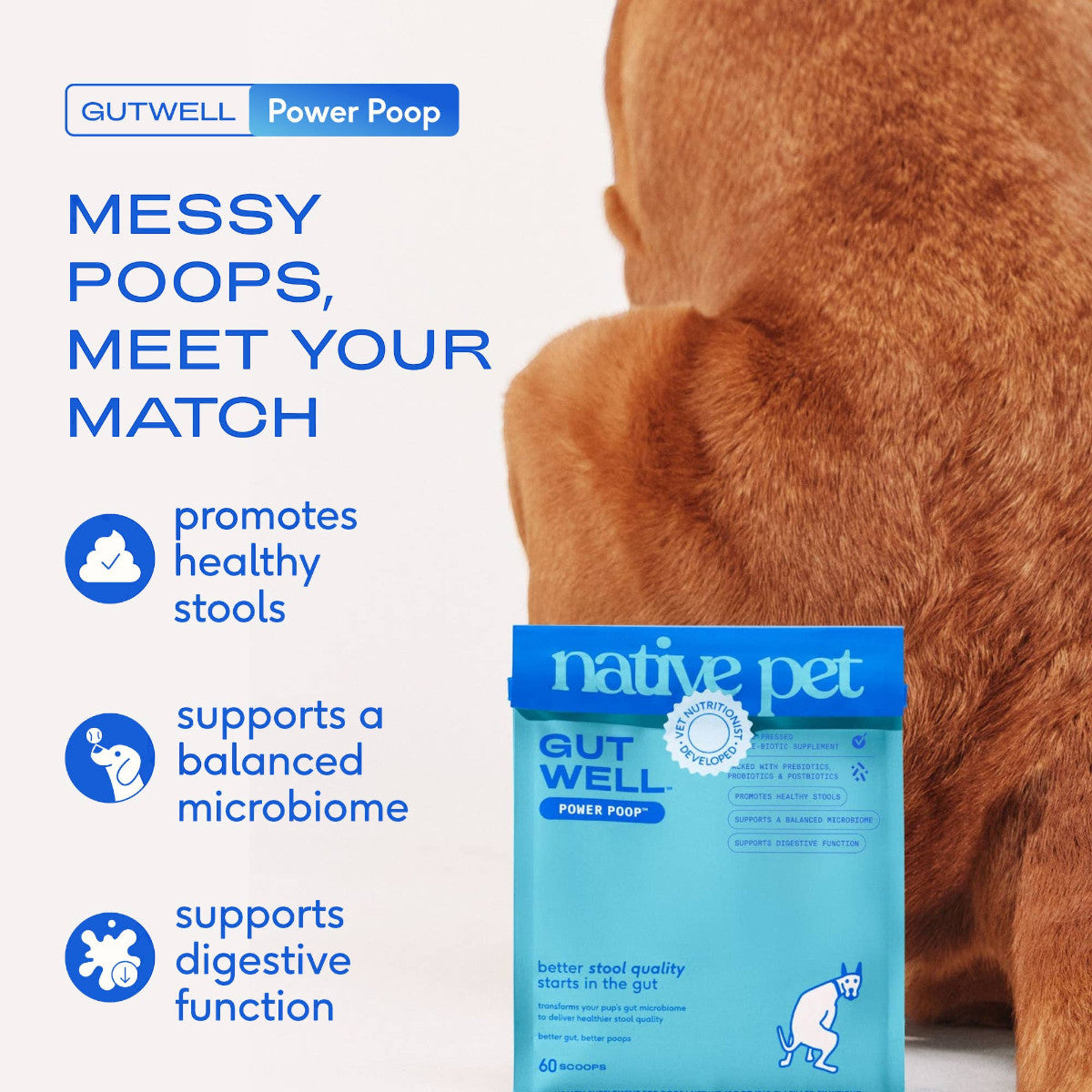 Dog Dish Native Pet GutWell Power Poop digestive supplement bag next to a dog, promoting healthy stool and gut health.
