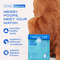 Dog Dish Native Pet GutWell Power Poop digestive supplement bag next to a dog, promoting healthy stool and gut health.