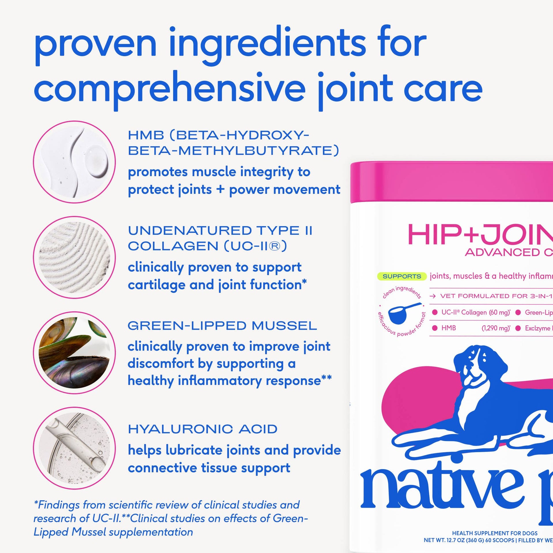 Dog Dish Native Pet Hip+Joint Advanced Care powder container with infographic showing active ingredients for dog health