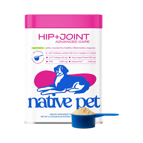 Dog Dish Native Pet Hip+Joint Advanced Care beef flavored mobility supplement powder in a white tub with pink lid.