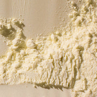 Dog Dish Native Pet Hip+Joint Advanced Care beef flavored supplement powder texture close-up