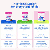 Dog Dish Native Pet Hip+Joint supplement comparison chart showing Mobility, Inflammatory, and Advanced Care options.