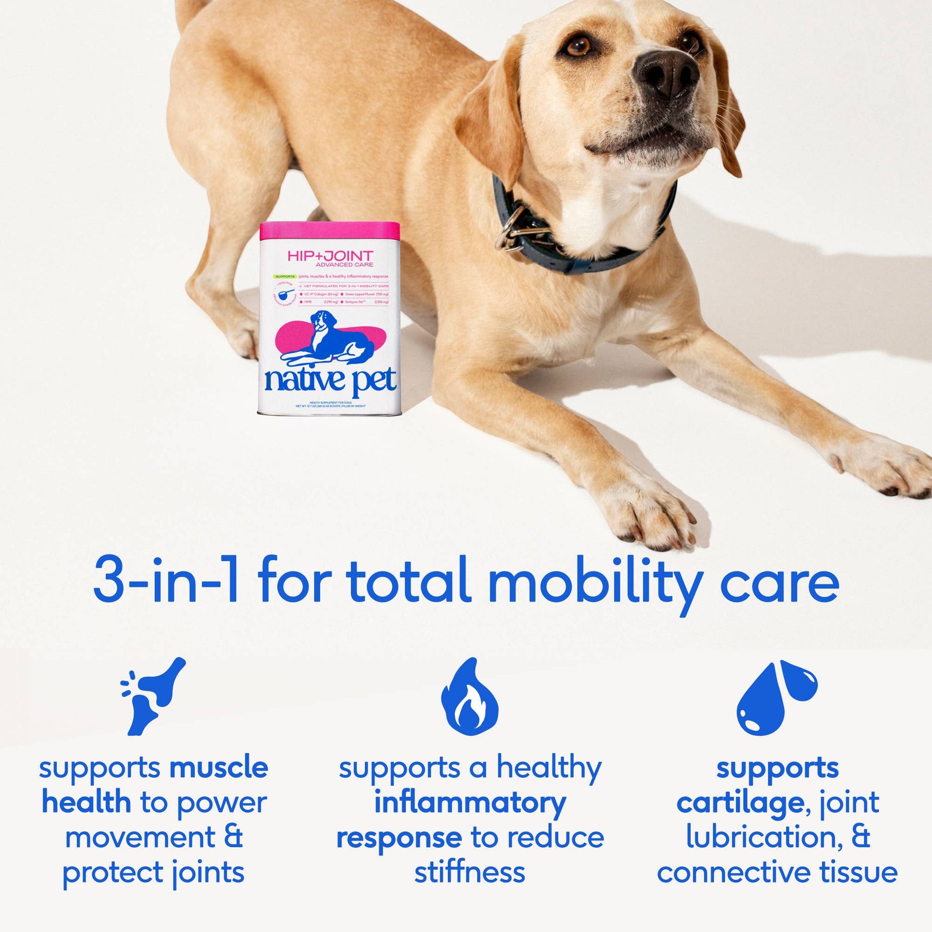 Dog Dish Native Pet Hip and Joint Advanced Care powder supplement container next to a happy dog on a white background