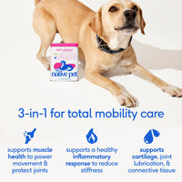 Dog Dish Native Pet Hip and Joint Advanced Care powder supplement container next to a happy dog on a white background