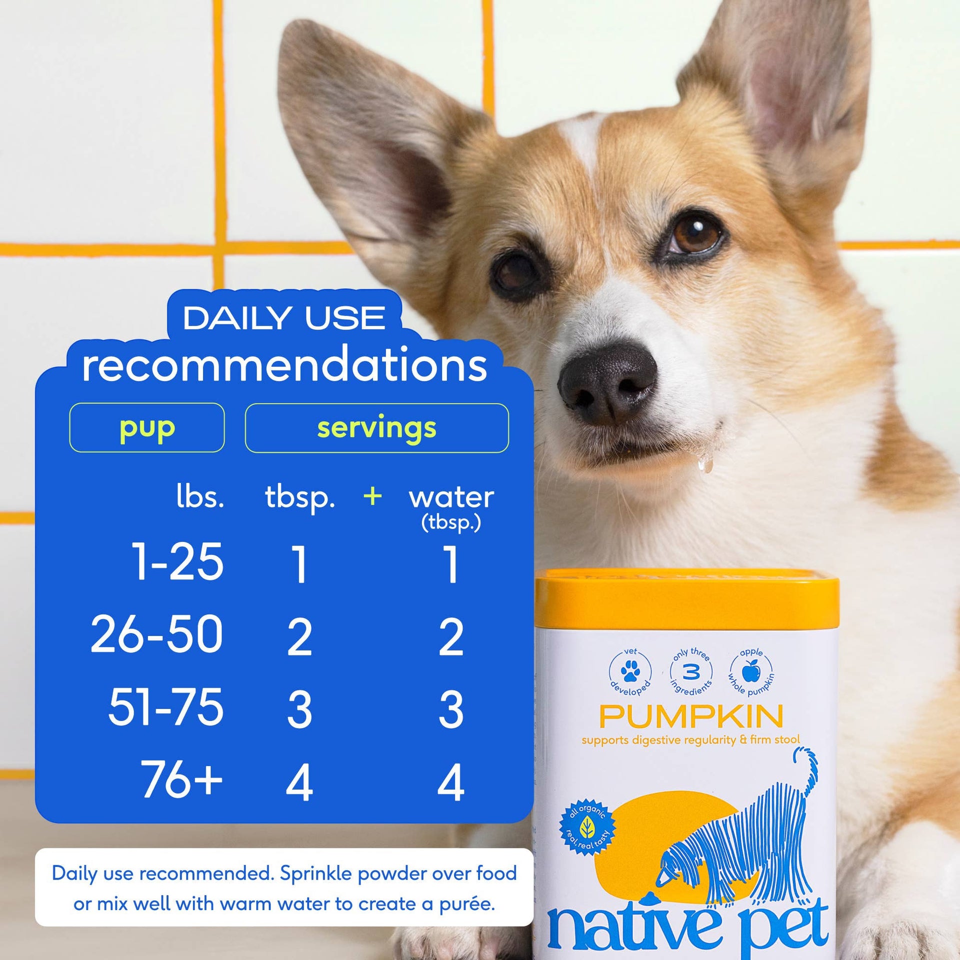 Dog Dish Native Pet organic pumpkin fiber powder container next to a cute corgi with a feeding chart overlay