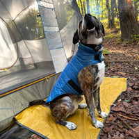 Dog Dish Pendleton Pagosa Springs reversible blue puffer dog coat worn by a brindle dog sitting by a tent in woods.