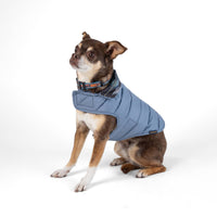 Dog Dish Pendleton reversible puffer dog coat in solid blue with Wyeth Trail patterned collar on a small brown dog