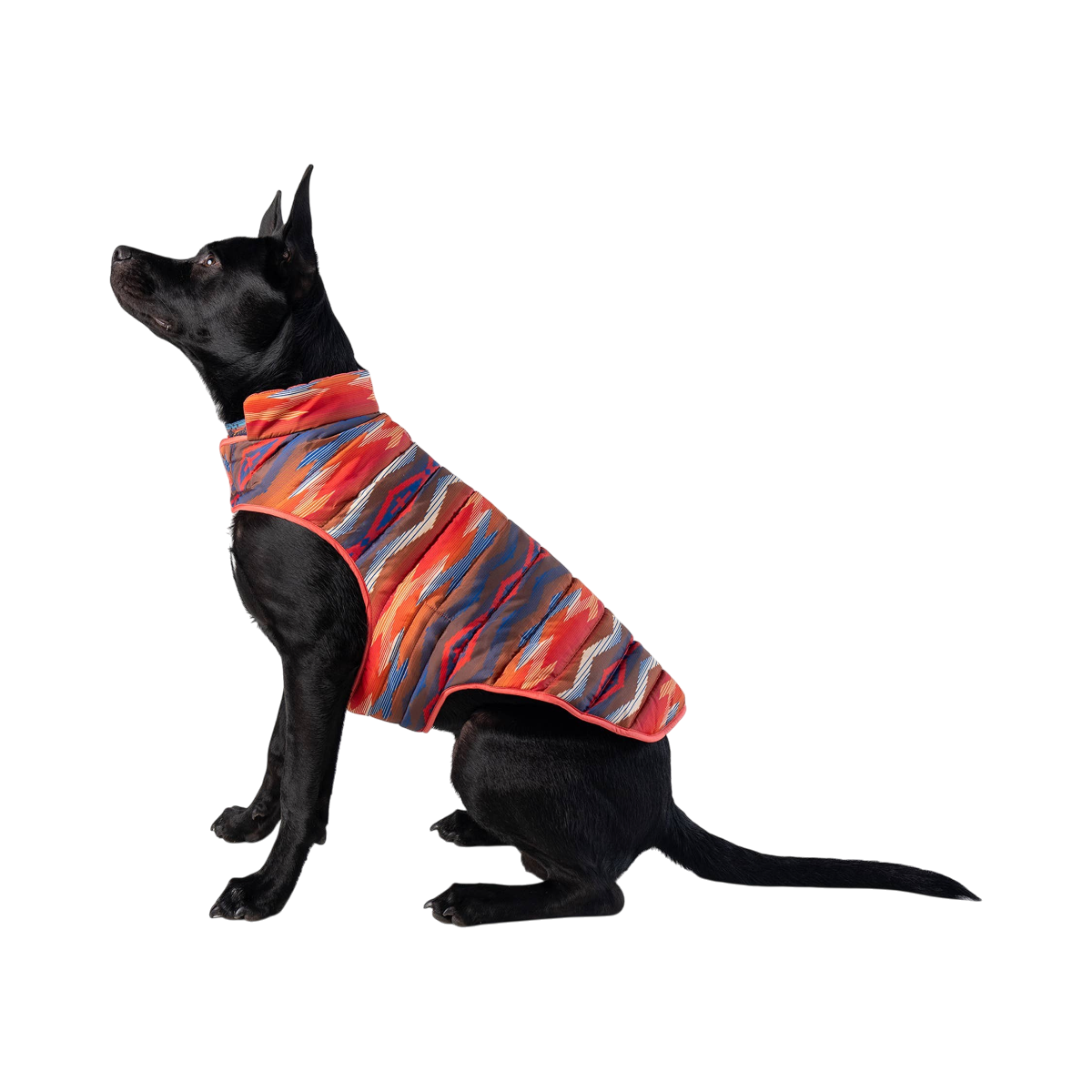 Dog Dish Pendleton reversible puffer dog coat in Crown Point print worn by a black dog in profile view