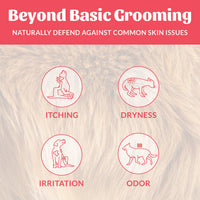 Dog Dish infographic showing how Skout's Honor coconut deodorizer helps dogs with itching, dryness, irritation, and odor.