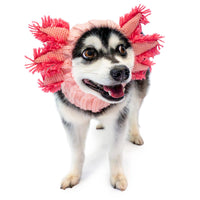 Dog Dish pink knit axolotl dog snood worn by a small husky-mix dog on a white background
