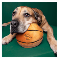 Dog Dish Fluff & Tuff plush basketball toy with embroidered logo, held by a large dog on a green background.