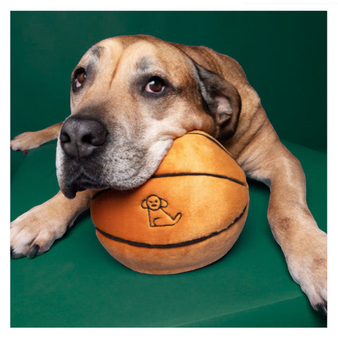 Dog Dish Fluff & Tuff plush basketball toy with embroidered logo, held by a large dog on a green background.